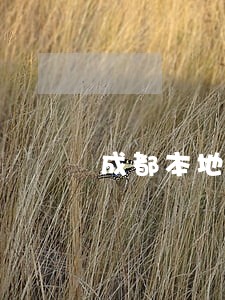 成都本地武侯区债务律师 成都本地武侯区债务律师