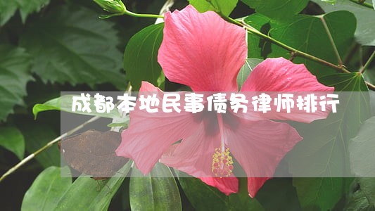 成都本地民事债务律师排行 成都本地民事债务律师排行