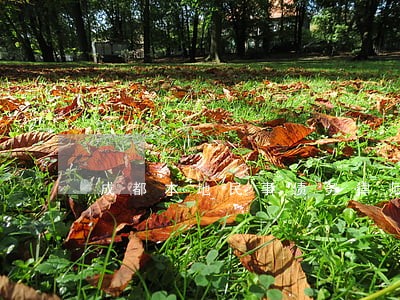 成都本地民事债务律师联系方式 成都本地民事债务律师联系方式