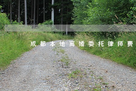 成都本地离婚委托律师费用 成都本地离婚委托律师费用