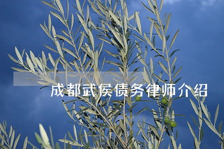 成都武侯债务律师介绍 成都武侯债务律师介绍