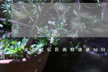 成都武侯区离婚继承纠纷律师 成都武侯区离婚继承纠纷律师