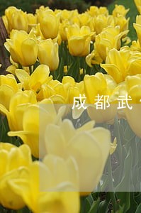 成都武侯法院宣判三起拒执罪案 成都武侯法院宣判三起拒执罪案
