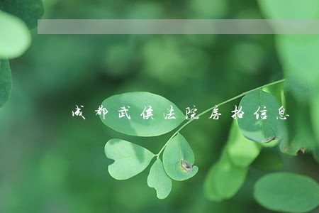 成都武侯法院房拍信息