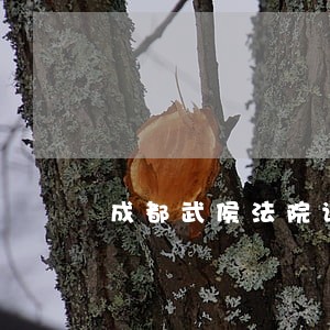 成都武侯法院请假程序 成都武侯法院请假程序