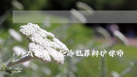 成都武侯经济犯罪辩护律师 成都武侯经济犯罪辩护律师