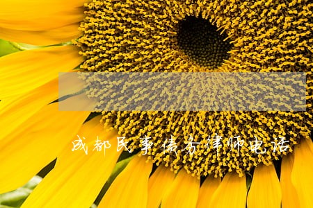 成都民事债务律师电话 成都民事债务律师电话