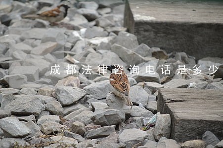 成都法律咨询电话是多少 成都法律咨询电话是多少