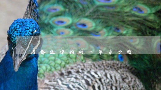 成都法律顾问一年多少钱 成都法律顾问一年多少钱
