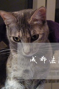 成都法院人民陪审员1840人 成都法院人民陪审员1840人