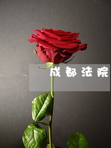 成都法院住房拍卖