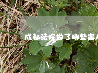 成都法院做了哪些事儿 成都法院做了哪些事儿