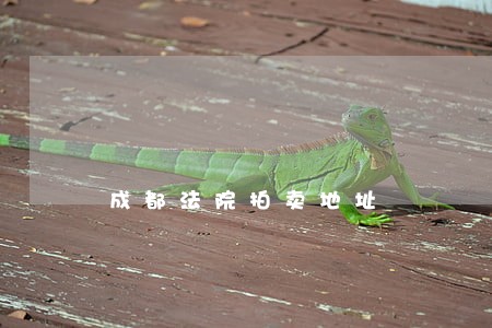 成都法院拍卖地址 成都法院拍卖地址