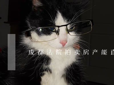 成都法院拍卖房产能直接买吗