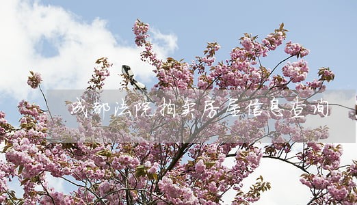 成都法院拍卖房屋信息查询