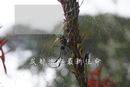 成都法院最新任命 成都法院最新任命