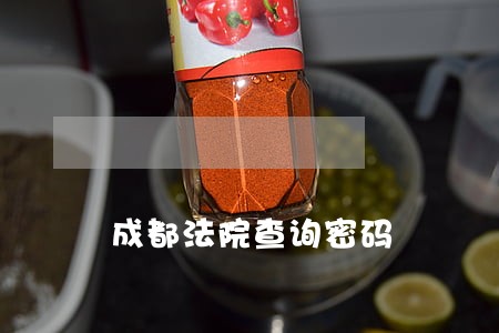 成都法院查询密码