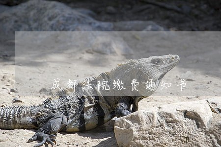 成都法院缴费通知书 成都法院缴费通知书
