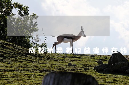 成都消费者权益律师在线咨询 成都消费者权益律师在线咨询