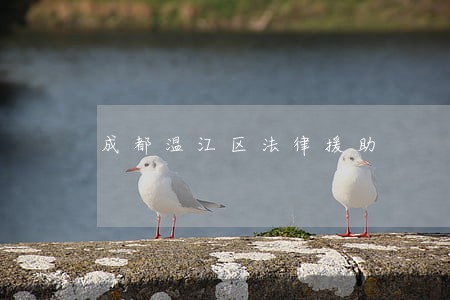 成都温江区法律援助 成都温江区法律援助