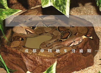 成都申科融车贷逾期一天 成都申科融车贷逾期一天