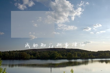 成都知名刑事律师 成都知名刑事律师