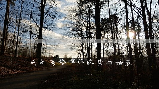 成都离婚律师收费价格表 成都离婚律师收费价格表