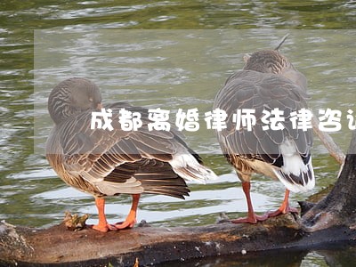 成都离婚律师法律咨询 成都离婚律师法律咨询