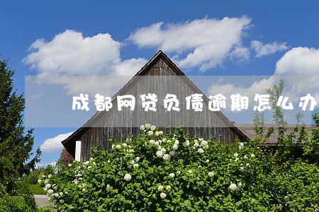 成都网贷负债逾期怎么办 成都网贷负债逾期怎么办