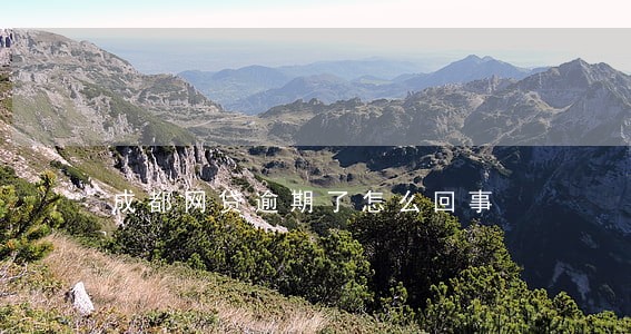成都网贷逾期了怎么回事 成都网贷逾期了怎么回事