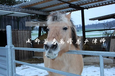 成都著名离婚房产律师 成都著名离婚房产律师
