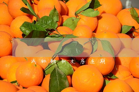 成都融创交房逾期