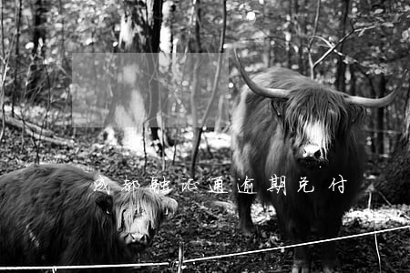成都融证通逾期兑付 成都融证通逾期兑付