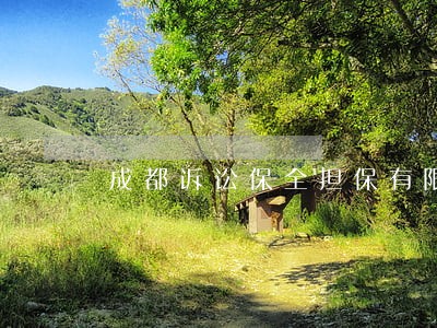 成都诉讼保全担保有限公司 成都诉讼保全担保有限公司