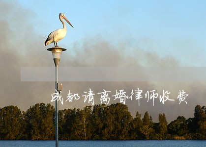 成都请离婚律师收费