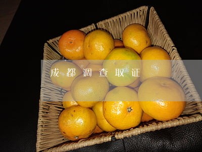 成都调查取证 成都调查取证