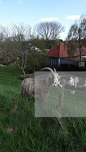 成都购销合同纠纷律师