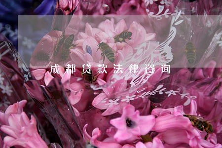 成都贷款法律咨询