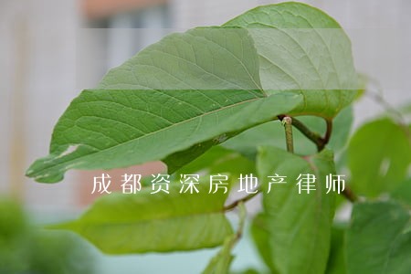 成都资深房地产律师 成都资深房地产律师