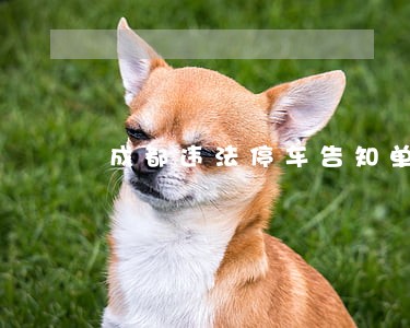 成都违法停车告知单图片
