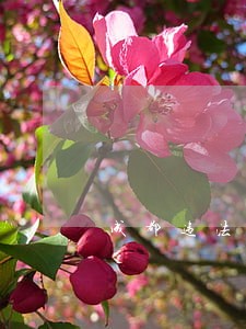 成都违法建设治理