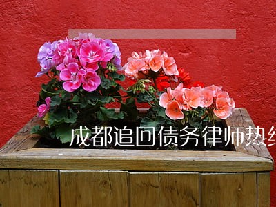 成都追回债务律师热线 成都追回债务律师热线