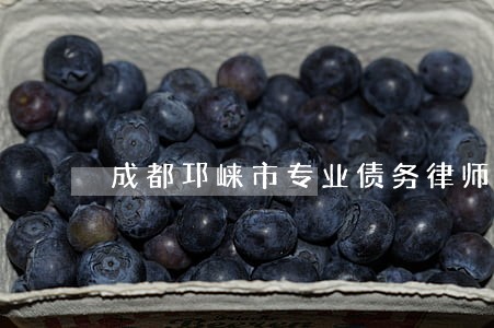 成都邛崃市专业债务律师所地址