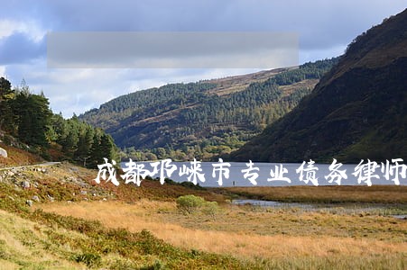 成都邛崃市专业债务律师收费 成都邛崃市专业债务律师收费