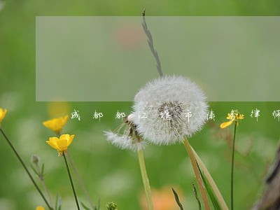 成都都江堰市债务律师哪个好 成都都江堰市债务律师哪个好