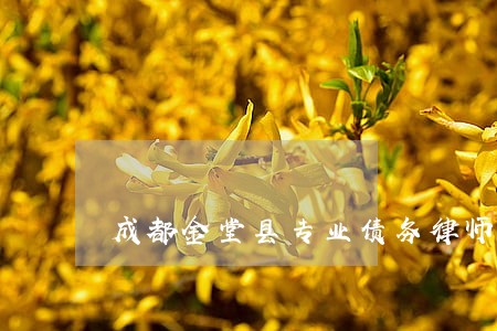 成都金堂县专业债务律师电话咨询 成都金堂县专业债务律师电话咨询
