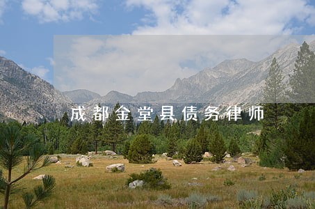 成都金堂县债务律师 成都金堂县债务律师