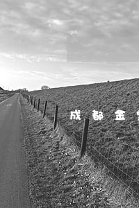 成都金堂县债务律师收费 成都金堂县债务律师收费