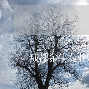 成都金牛专业婚姻律师 成都金牛专业婚姻律师