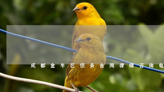 成都金牛区债务合同律师咨询电话 成都金牛区债务合同律师咨询电话